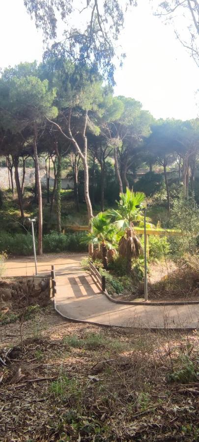 Beach Forest Paradise Marbella Esterno foto