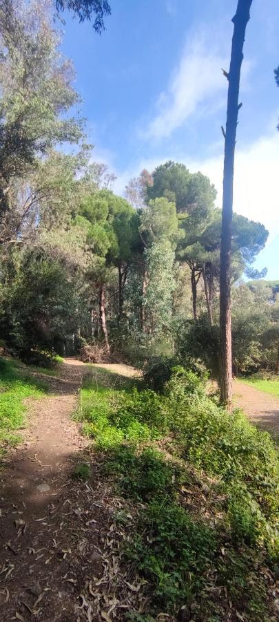 Beach Forest Paradise Marbella Esterno foto