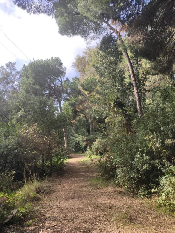 Beach Forest Paradise Marbella Esterno foto